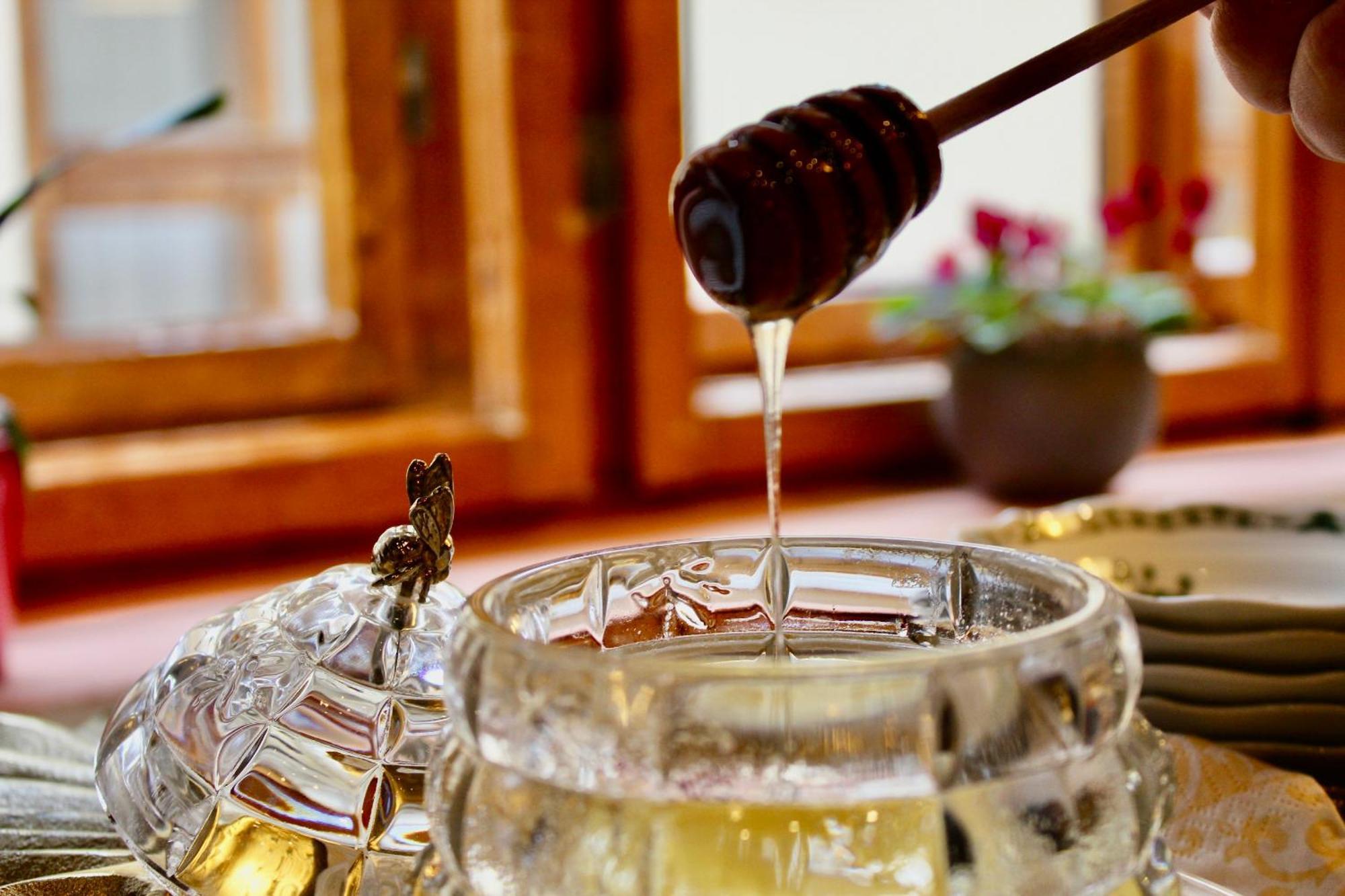 Pensiunea Agora Cisnadioara Ngoại thất bức ảnh